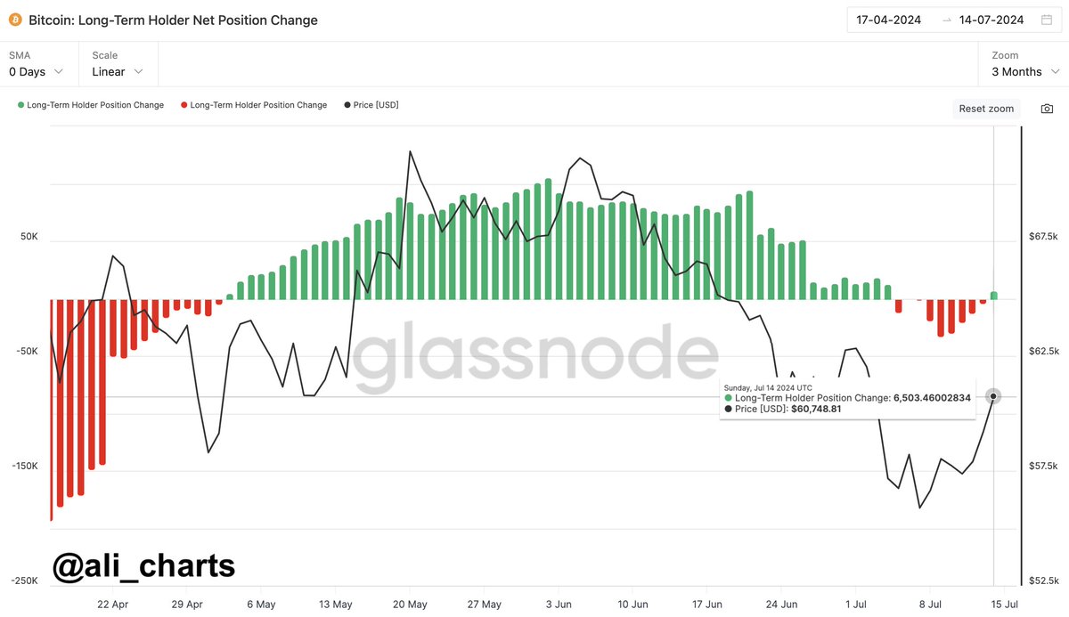 Long-term #Bitcoin holders are back in action, adding 6,500 $BTC to their  wallets!