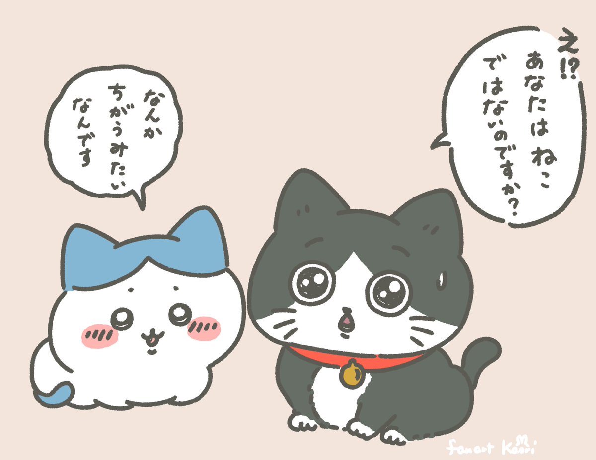 ねこに転生したおじさんとハチワレちゃんの初対面🐾 #ちいかわ #ちい