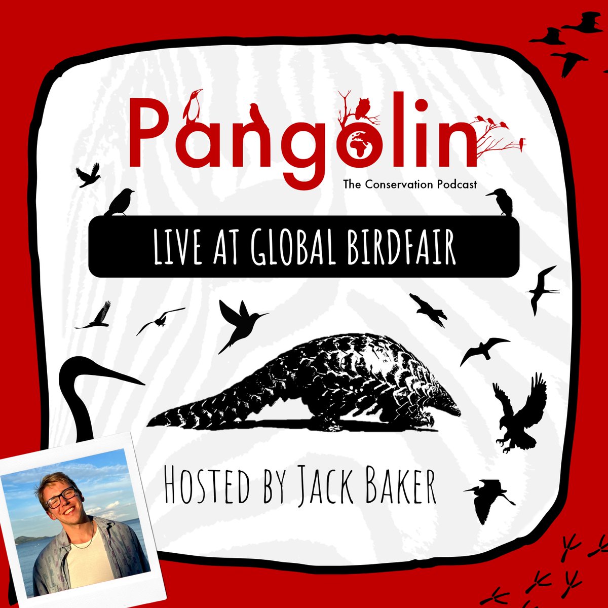Jack Baker ๐ต๐พ (@onlyjackbaker) on Twitter photo This weekend I recorded 4 live episodes of <a href="/PangolinPodcast/">Pangolin: The Conservation Podcast ๐ฆ๐ฆ๐ฆ๐</a> at <a href="/GlobalBirdfair/">Global Birdfair</a>! It was an absolute joy and I am so grateful to @_charliebingham for being given the opportunity. Her work made the whole experience seamless, stress free and incredibly exciting! โจ๐ฆ This weekend I recorded 4 live episodes of <a href="/PangolinPodcast/">Pangolin: The Conservation Podcast ๐ฆ๐ฆ๐ฆ๐</a> at <a href="/GlobalBirdfair/">Global Birdfair</a>! It was an absolute joy and I am so grateful to @_charliebingham for being given the opportunity. Her work made the whole experience seamless, stress free and incredibly exciting! โจ๐ฆ