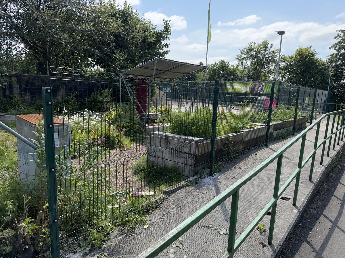 We’ve added some more fence to the community garden - we plan to grow climbing plants up this from the raised bed.