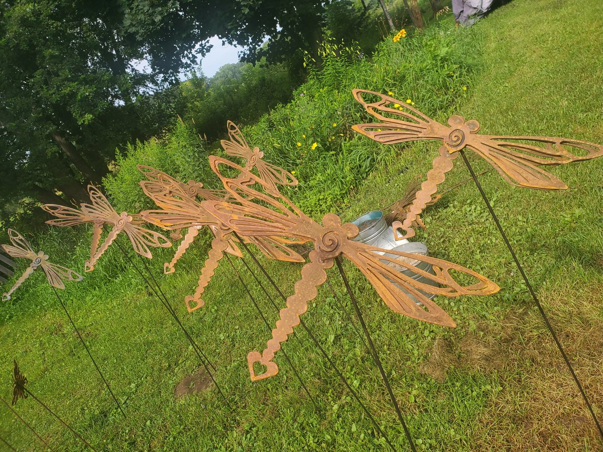 David DeMattia (@dndemattia) on Twitter photo 