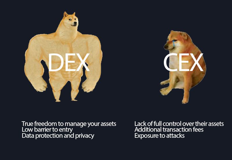 We use only the best🔝

That's why we choose DEX, so that reliability is top notch and all our transactions are easy even for beginners!

Join GraphDex and #graphdexmeme