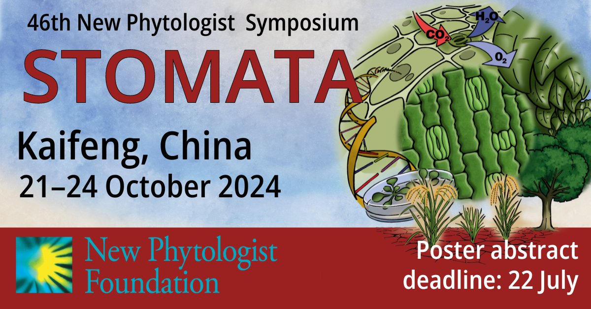 Alistair Hetherington tweet media