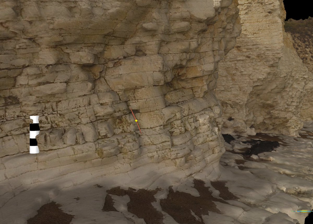 David Hodgetts tweet media