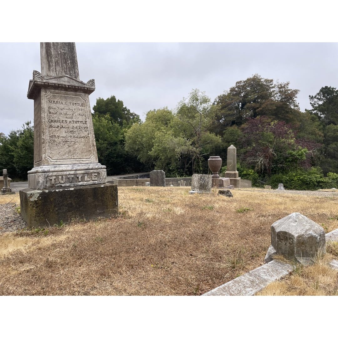 greenday_ita's tweet photo. The "39/Smooth" cover photo location as it is today.
it is Mountain View Cemetery in Oakland

📷BladeBronson on reddit

#greenday #39smooth #oakland https://t.co/72q2Nzzb7D