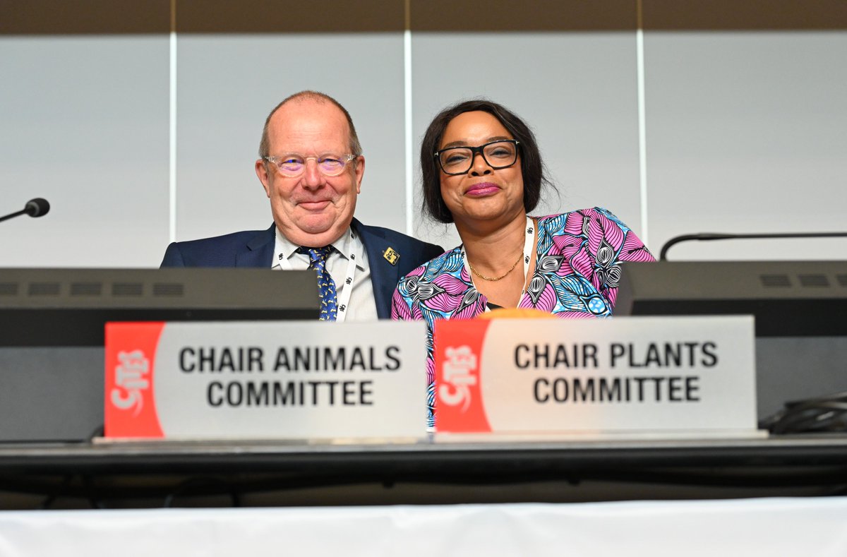 CITES's tweet photo. #PC27🌱 wrapped up last week with 190+ participants, 40+ agenda items &amp; 2000+ pages of documents supporting the discussions on the #sustainabletrade and #conservation of CITES-listed #plants! 🌻

View the highlights from the joint #AC33🐾-PC27 session 📸 https://t.co/wbcYgCoo4s https://t.co/lVJuozISCK