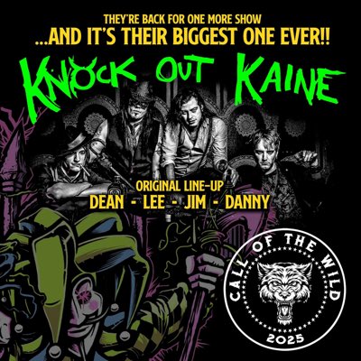 Knock Out Kaine tweet media