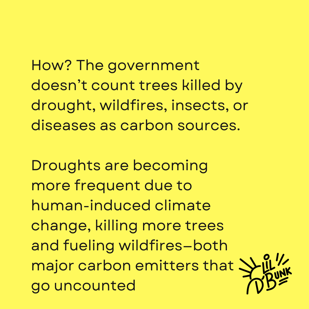 Canada: Land of trees, eh? But is it REALLY a carbon sink? Canada's carbon math is NOT adding up! They're conveniently leaving out MAJOR sources of pollution.  Wildfires are getting WORSE because of fossil fuels, but Canada doesn't count those emissions. ⁠