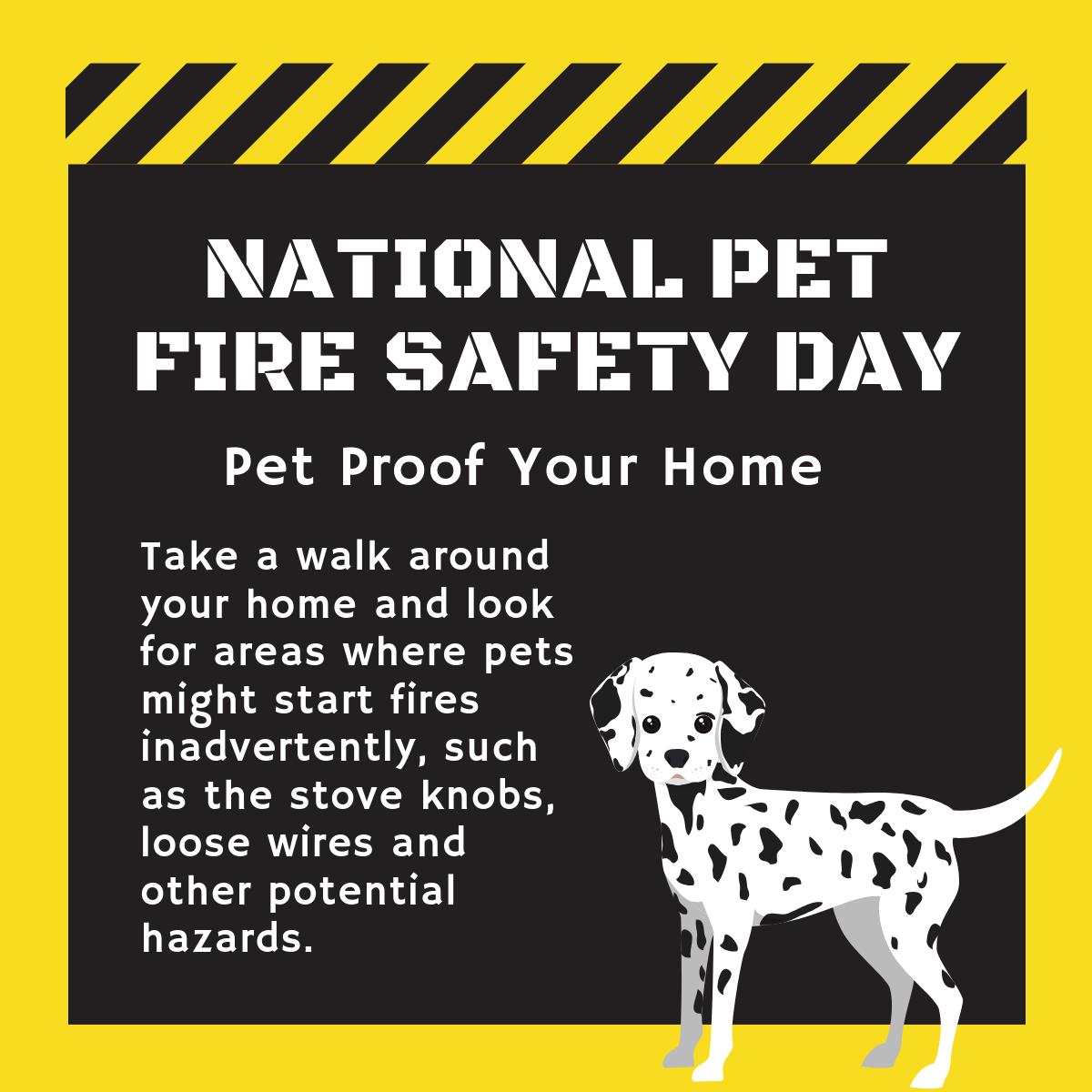 IntermtnPetHosp's tweet photo. Just like having a safety plan for your children, you need to have a safety plan for your pets in the event of a home emergency. https://t.co/k4vGeGCNXt