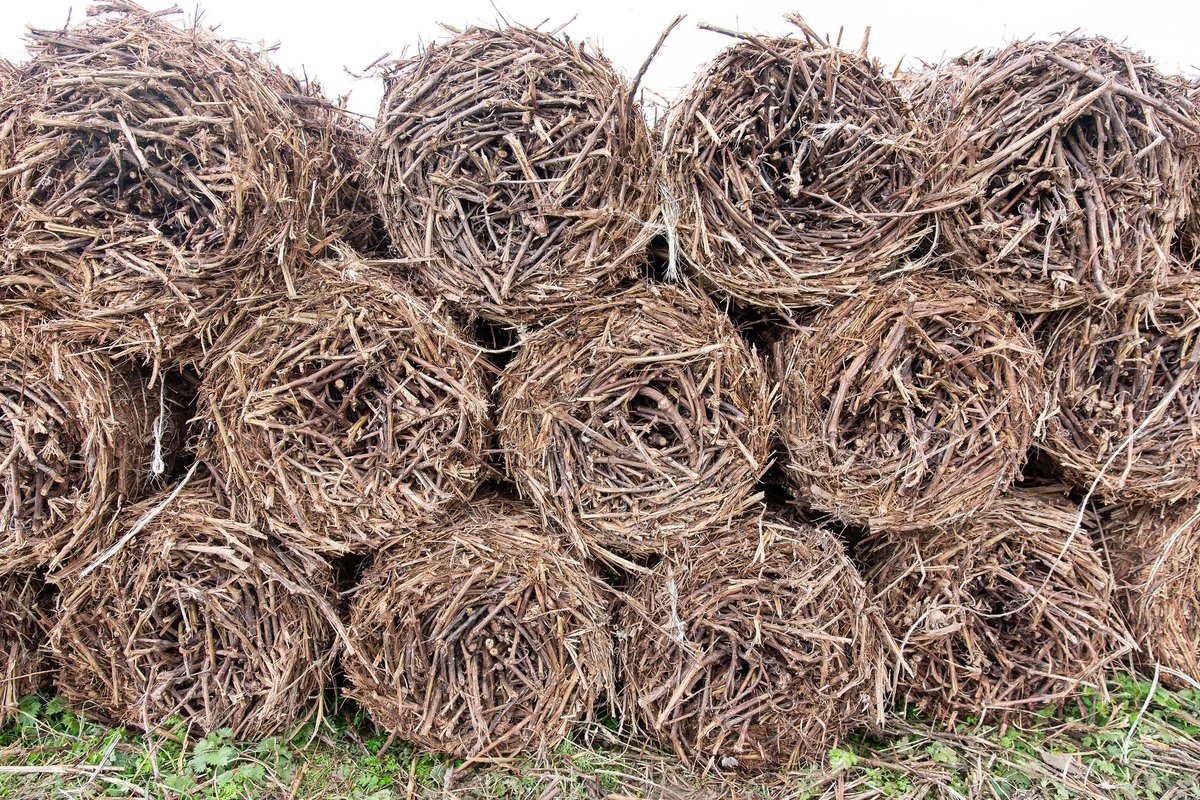 RathfinnyEstate's tweet photo. Turning a seemingly simple topic about cane bales into a creative challenge got the Vineyard team crafting ideas of how we could repurpose 5,000 bales in a sustainable way. 

Read our latest blog to find out about the opportunity for flood defences: https://t.co/E3tXaTkauW https://t.co/MESXQK0TQk