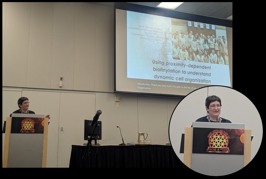 🎉 Excited for the 2⃣ #NetBio keynote speaker *Anne-Claude Gingras* kicking off this morning's session! She presents her work on "Using proximity-dependent biotinylation to understand dynamic cell organization".
 #networkbiology #ISMB2024 #ISMB24