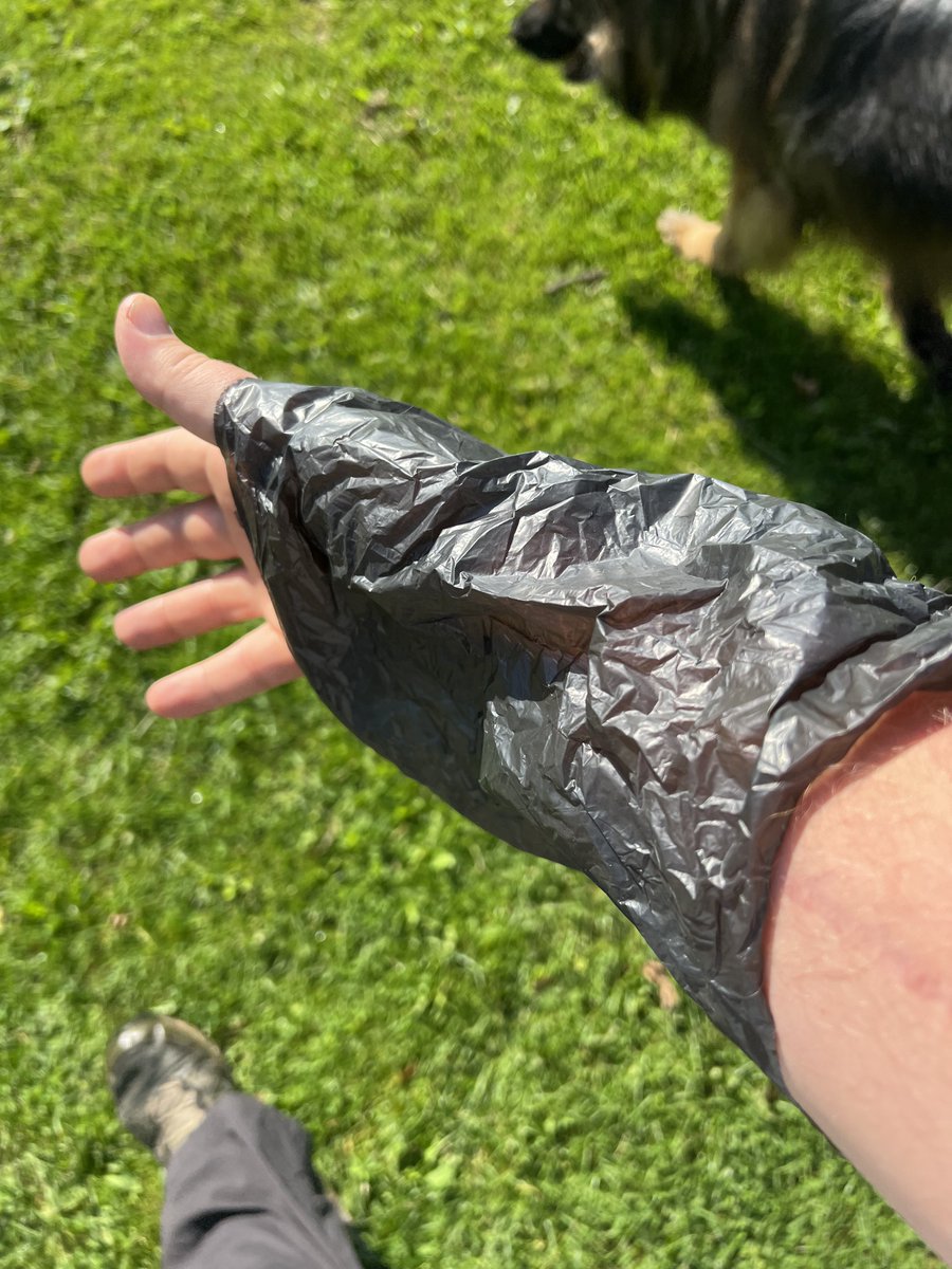 ForRover's tweet image. Hello, just to let you all know I’m still out walking and working. Delilah is well. Also just a funny picture today, when I went to scoop a poop, my hand went right through the bag! Fortunately I realised before I bent down to collect! 🤣🙈💩