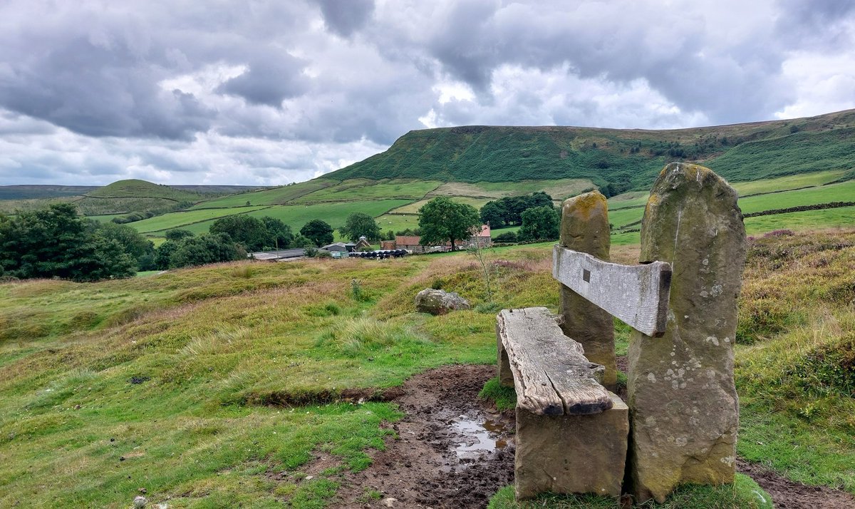 mattbison's tweet photo. Great hike to one of my favourite views, near Danby on the North Yorkshire Moors. Proper bench too @MyFaveBench #NorthYorkshire https://t.co/adNsTmGPZv