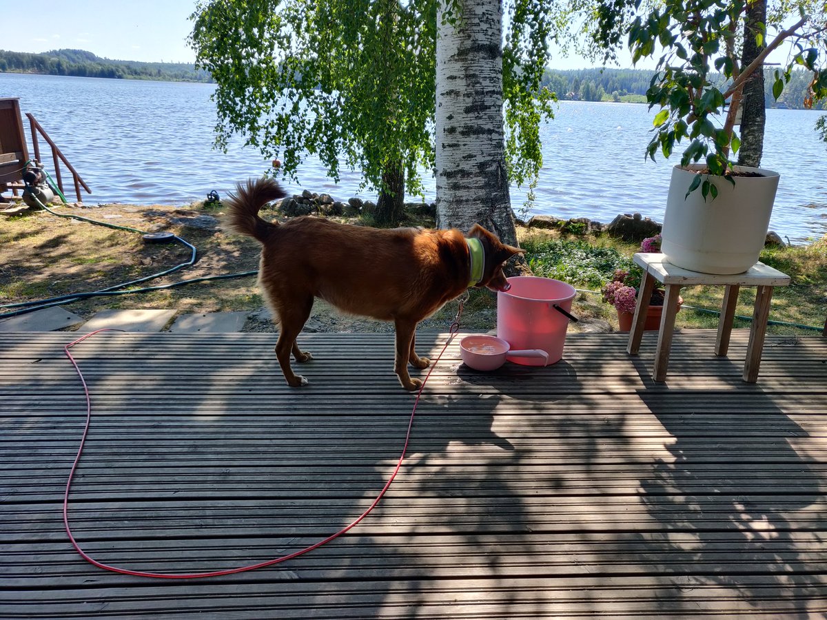 Summer is nice