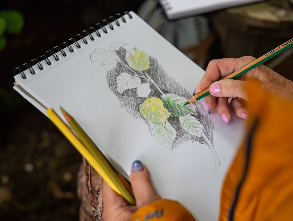 SistersCic's tweet photo. BEING WELL IN THE WOODS in collaboration with Tulgey Woods Sanctuary CIC
Wonderful and Rainy-“Colour in Nature” session with the marvellous Richard Fisher…mindful drawing  in the woodland
photos by Katty Bray Art and Photography

Funded by The Rank Foundation Livewell Southwest https://t.co/90PtqaQfnZ