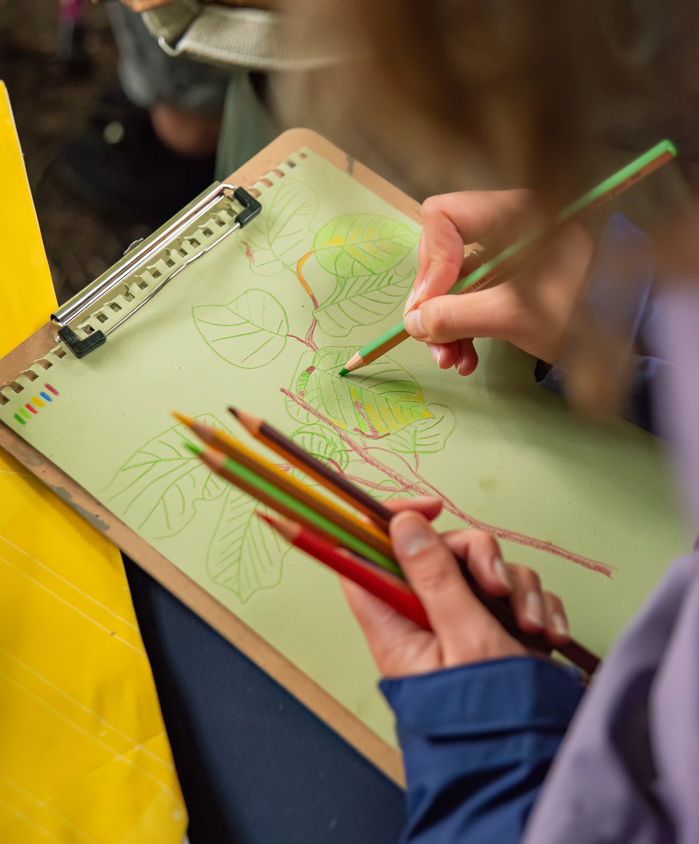 SistersCic's tweet photo. BEING WELL IN THE WOODS in collaboration with Tulgey Woods Sanctuary CIC
Wonderful and Rainy-“Colour in Nature” session with the marvellous Richard Fisher…mindful drawing  in the woodland
photos by Katty Bray Art and Photography

Funded by The Rank Foundation Livewell Southwest https://t.co/90PtqaQfnZ