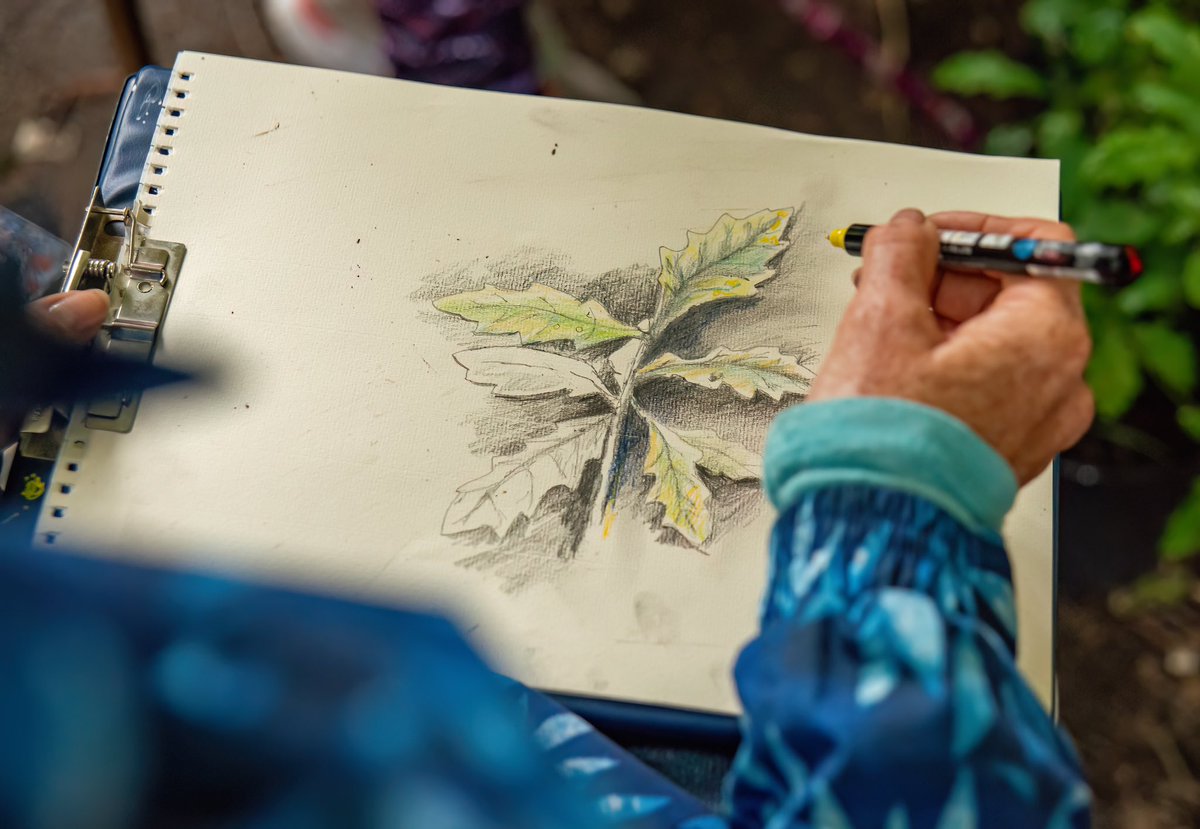 SistersCic's tweet photo. BEING WELL IN THE WOODS in collaboration with Tulgey Woods Sanctuary CIC
Wonderful and Rainy-“Colour in Nature” session with the marvellous Richard Fisher…mindful drawing  in the woodland
photos by Katty Bray Art and Photography

Funded by The Rank Foundation Livewell Southwest https://t.co/90PtqaQfnZ