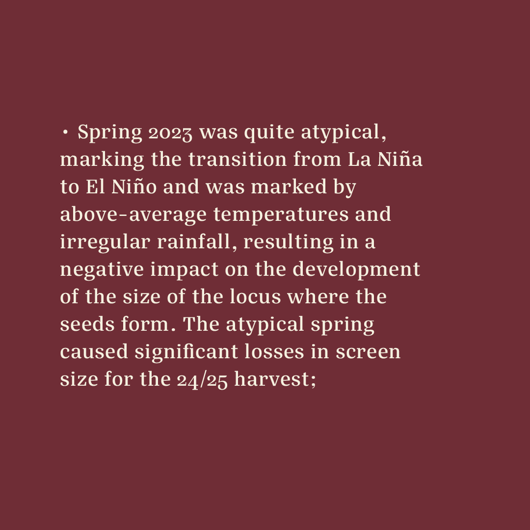 Casa Brasil Coffees tweet media