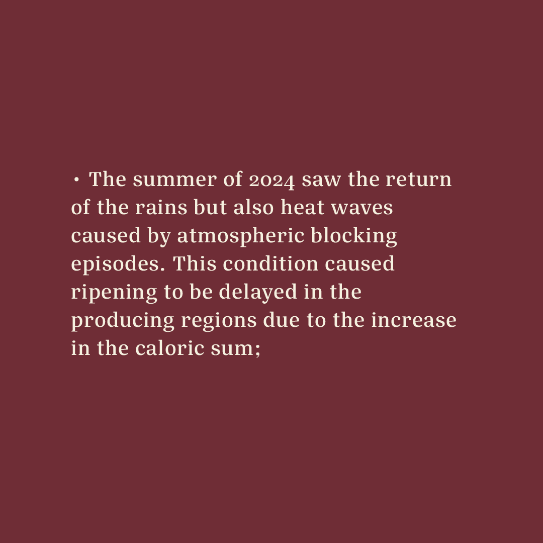 Casa Brasil Coffees tweet media