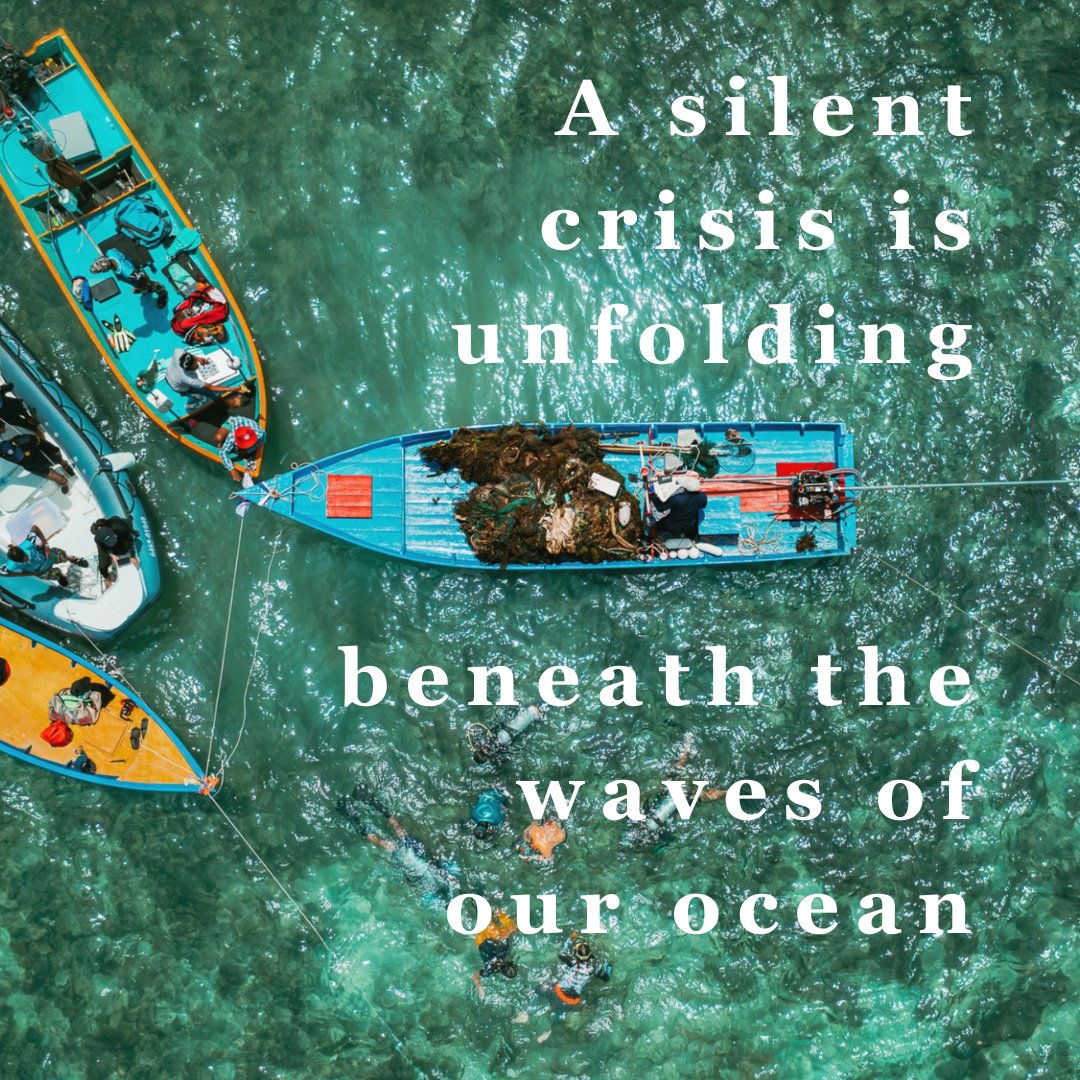 seavoice tweet media