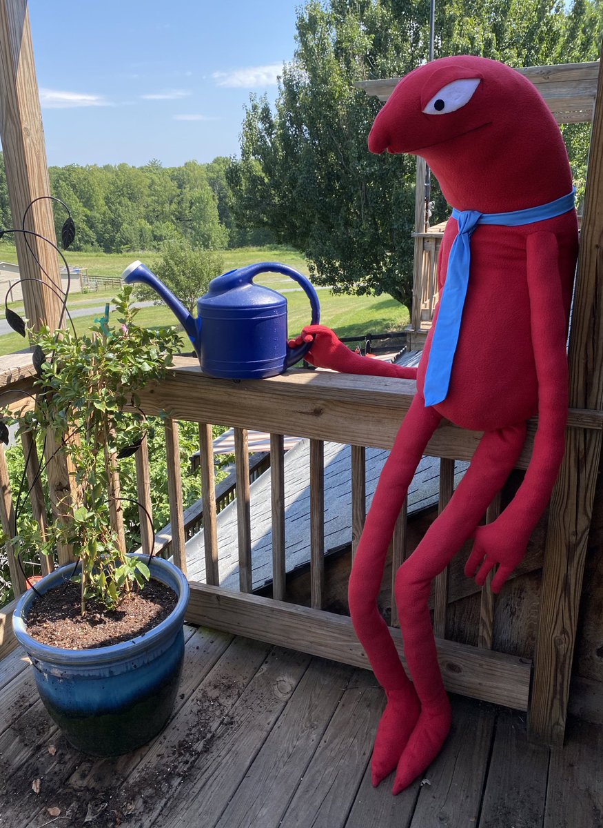 basicallyedd's tweet photo. allan’s helping water the plants (and contemplating how rough some of them look from the excessive heat) https://t.co/LTMsmnndEb