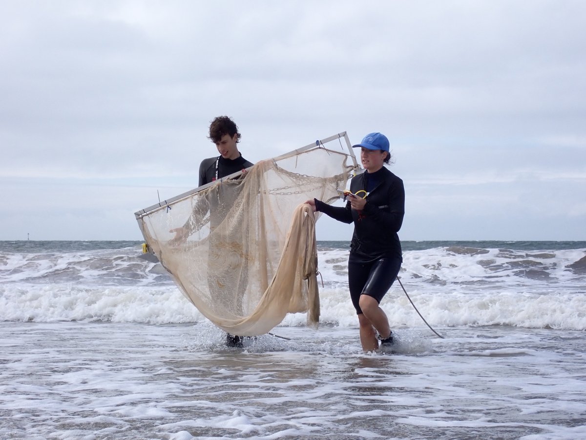 Franschinder's tweet photo. Which inshore habitats are most important for fish during early life stages?🐟
With @benciotti, @marion_ldp, @_RachelTurnbull, and Ryan Hepburn, we are using a variety of sampling techniques to assess juvenile fish habitat quality. @Fin_Vision

Thanks to the @TheFSBI and @PlymUni https://t.co/Qj7NVDGzun