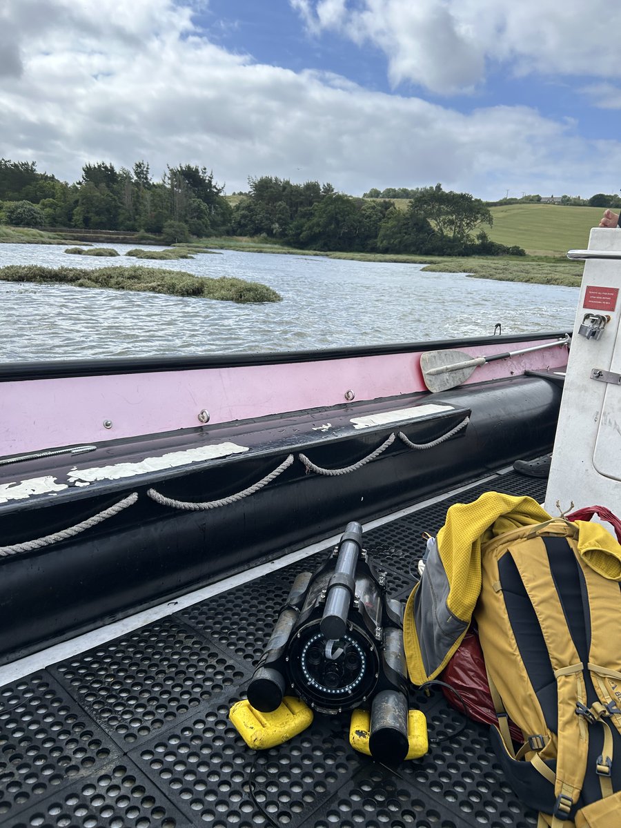 Franschinder's tweet photo. Which inshore habitats are most important for fish during early life stages?🐟
With @benciotti, @marion_ldp, @_RachelTurnbull, and Ryan Hepburn, we are using a variety of sampling techniques to assess juvenile fish habitat quality. @Fin_Vision

Thanks to the @TheFSBI and @PlymUni https://t.co/Qj7NVDGzun