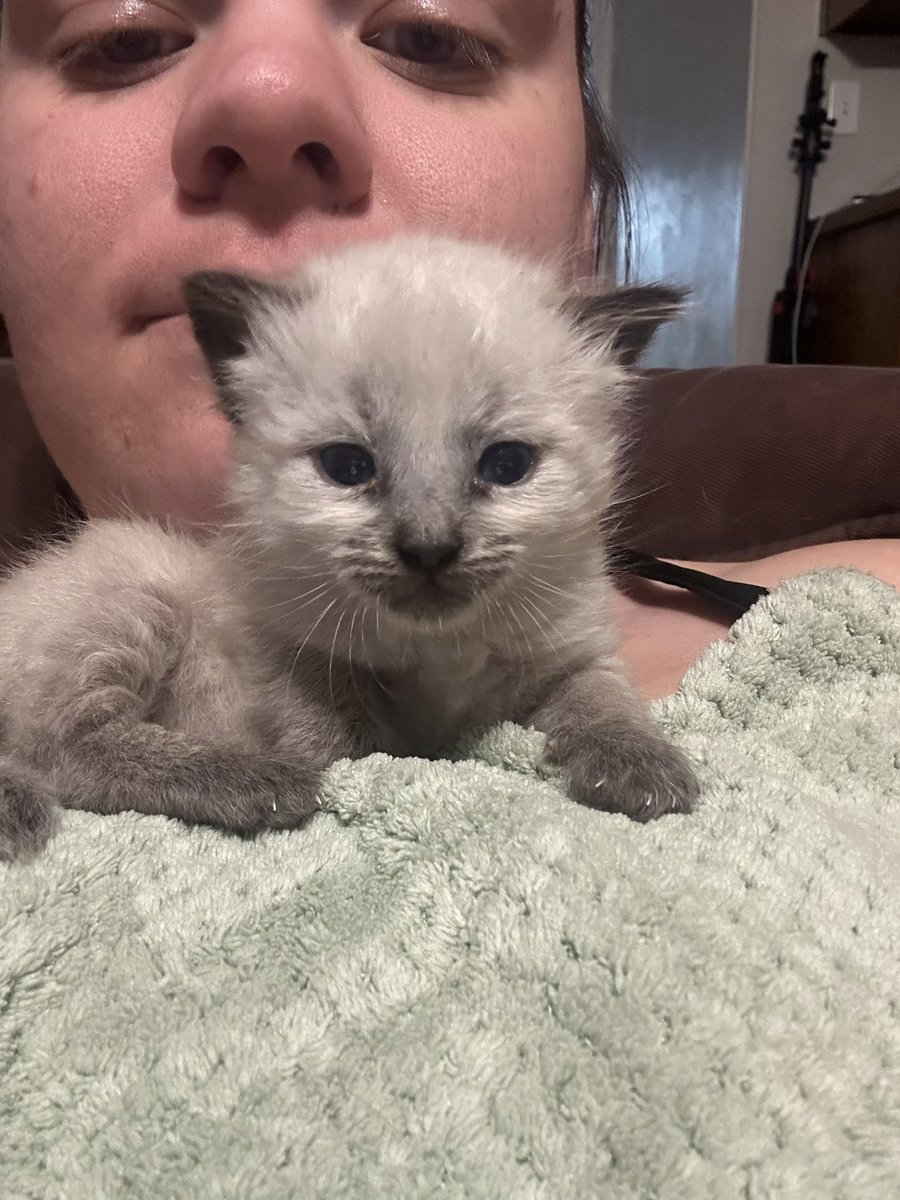 wat…is this 😠🤨