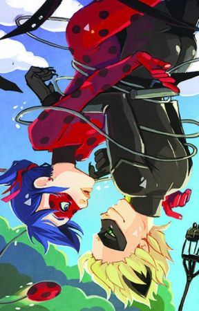 😺🖤💚 "I guess we are in a cat trap!"