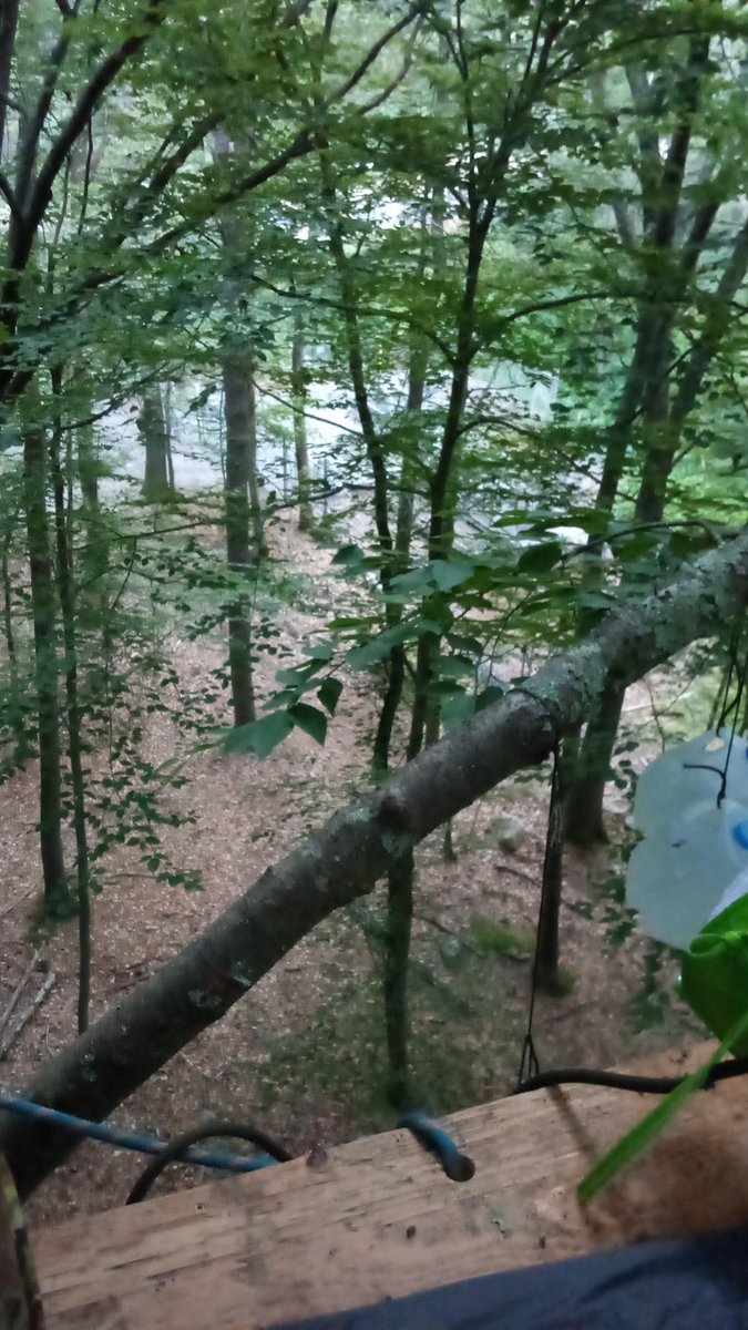 EndProjectMaple's tweet photo. First view from the tree sit, overlooking Enbridge's existing pipeline metering station in the forest. They want to cut down these trees to bring in a massive crane to expand the facility. https://t.co/9y7ETkrTXC