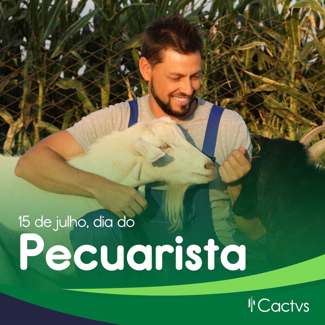 CactvsSa's tweet photo. 🌾🐄 Hoje homenageamos todos os pecuaristas que dedicam suas vidas a cuidar e desenvolver o setor pecuário do Brasil.

Com trabalho árduo, dedicação e amor pela terra, vocês são fundamentais para o crescimento e sustentabilidade do nosso país!

#DiaDoPecuarista #CACTVS #Pecuária https://t.co/GklCxKq2Ci