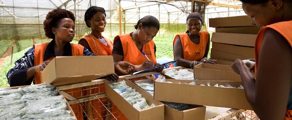 Join us in supporting women worldwide! Empower women, transform supply chains. Your donation can enhance education, advocate for fair wages, promote safe work environments, and empower women's voices. Donate today: buff.ly/2Lq551O #EmpowerWomen #GenderEquality