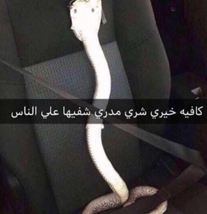 برضو أنا