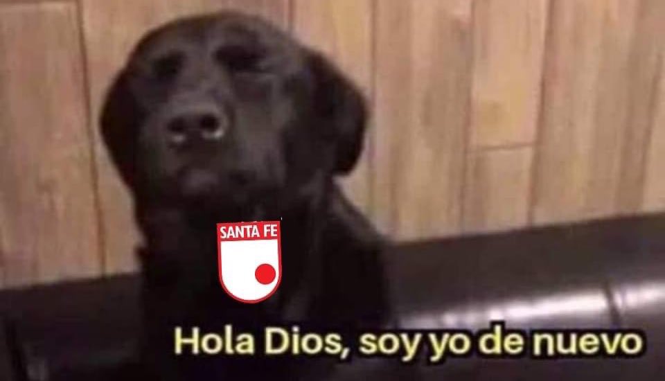 millansismo29's tweet photo. Lo hijueputa es que ya estoy deseando que sea miércoles, soy el masoquismo hecho persona 👍🏻 https://t.co/rY2LA2fHZE
