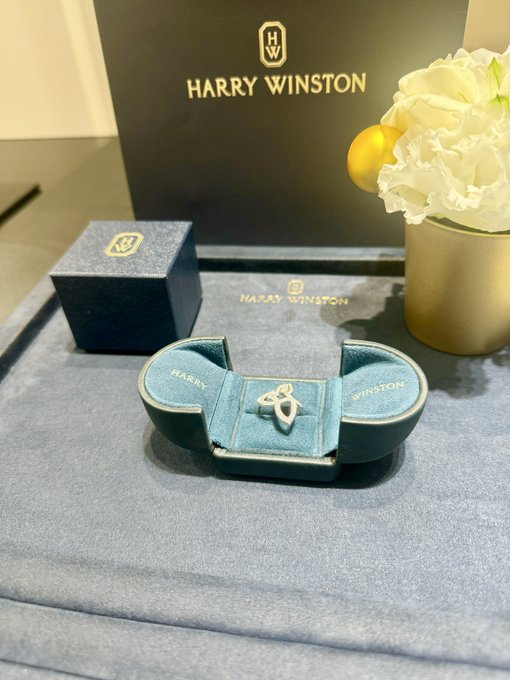 妻の誕生日なのでプレゼントを買いました。
日頃の感謝を込めて結構奮発しました。