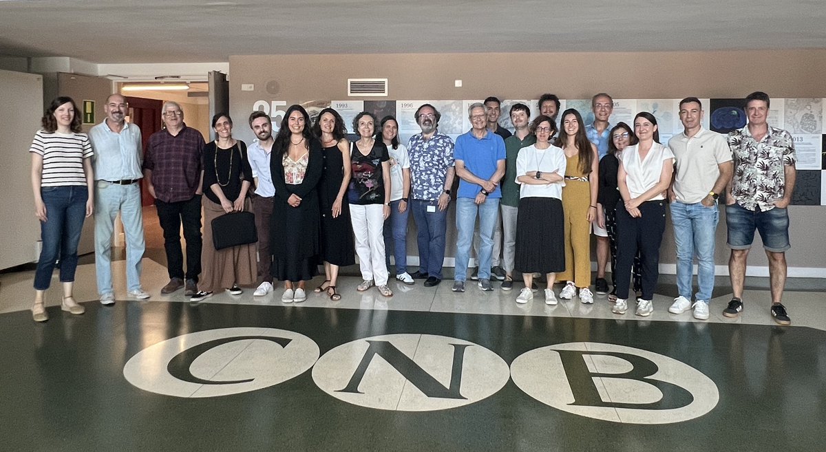 LluisMontoliu's tweet photo. Hoy hemos celebrado en el
@CNB_CSIC la reunión del grupo @CIBERER sobre “Edición Genómica y Terapia Génica” con la presencia de diversos grupos expertos en estas tecnologías, compartiendo proyectos, resultados, éxitos y fracasos, que de todo se aprende en ciencia. #CRISPR https://t.co/HGqBkibBjY