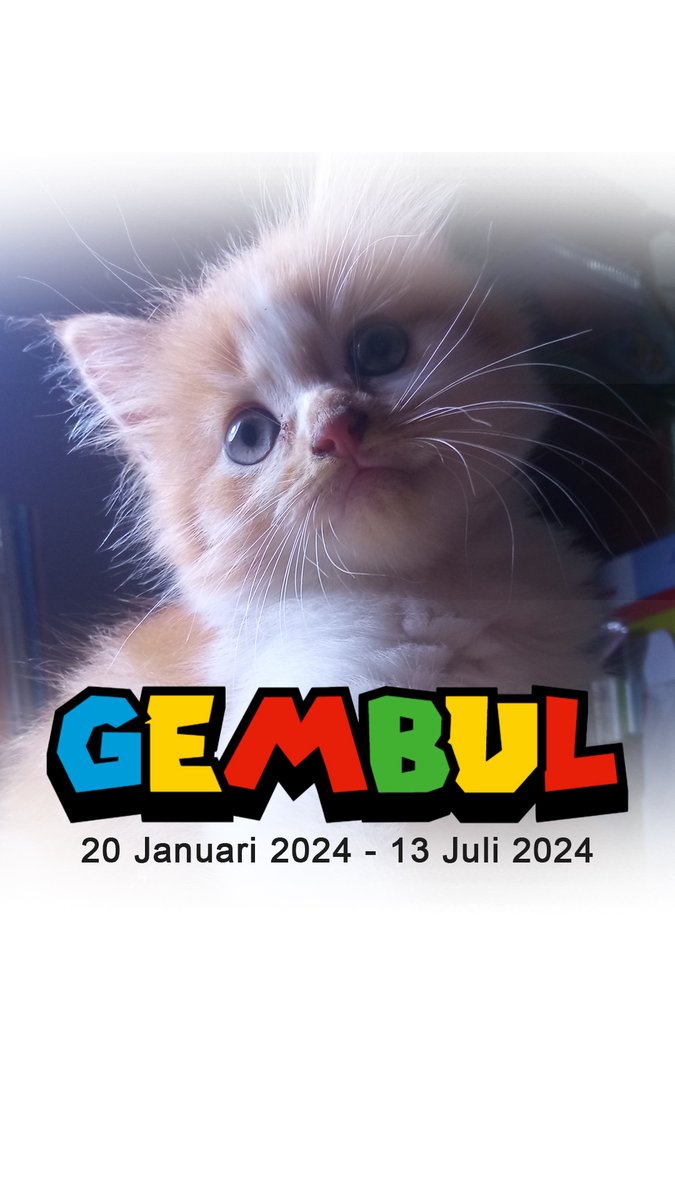tiktok.com/@edumrespati/v…

#KucingKesayangan #KenanganIndah #AnimalLover #KucingIndonesia #Heartbroken #KucingTercinta #KucingLucu #Kehilangan #CeritaSedih #Kucing #Kucingku #HewanPeliharaan #KucingKesayangan #KucingLucu #RIPcat #CatLovers #KucingImut #LoveForPets #PetLoss #tiktok