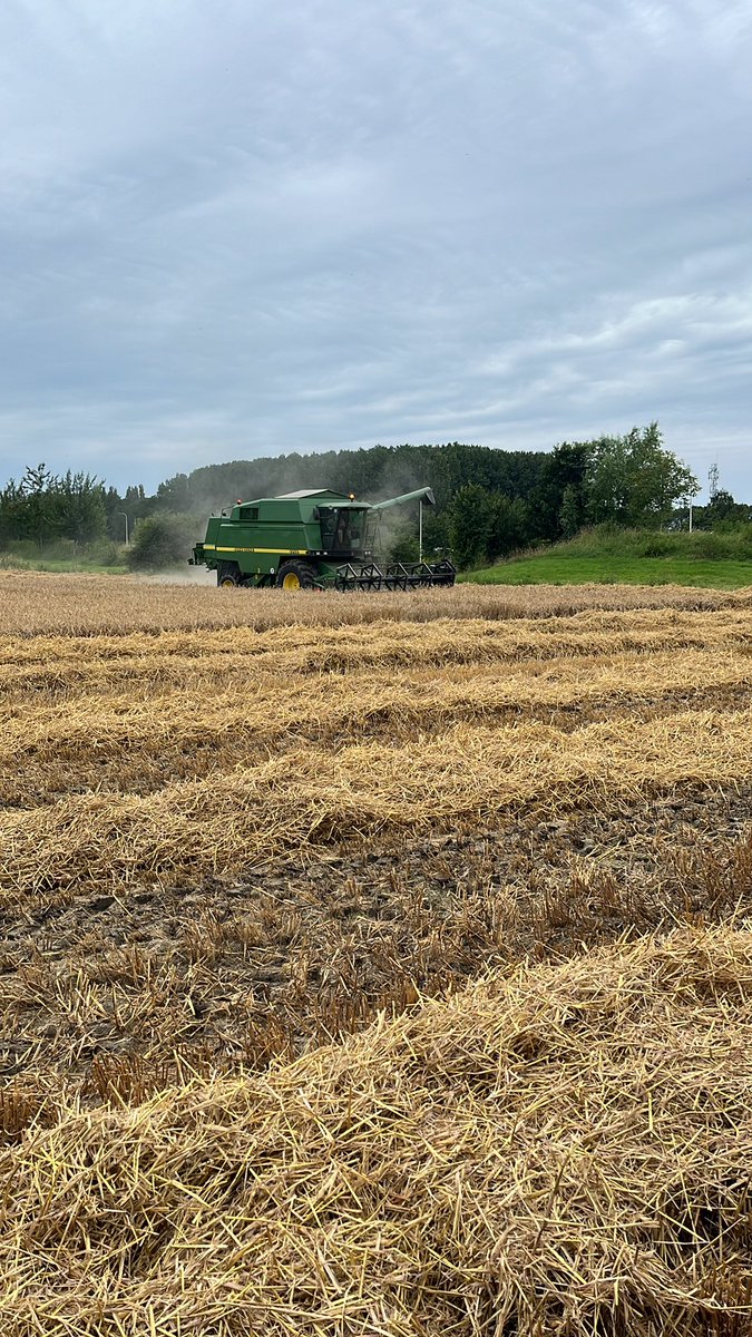 Ruben groeneveld tweet media