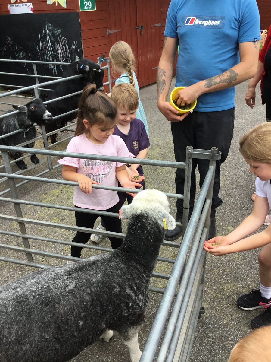 ReceptionOaky's tweet photo. Reception Catkins have had a wonderful time with the farm animals today! https://t.co/5OBo7iVtzE