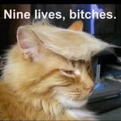 <a href="/elonmusk/">Elon Musk</a> <a href="/ianmiles/"></a> Exactly.