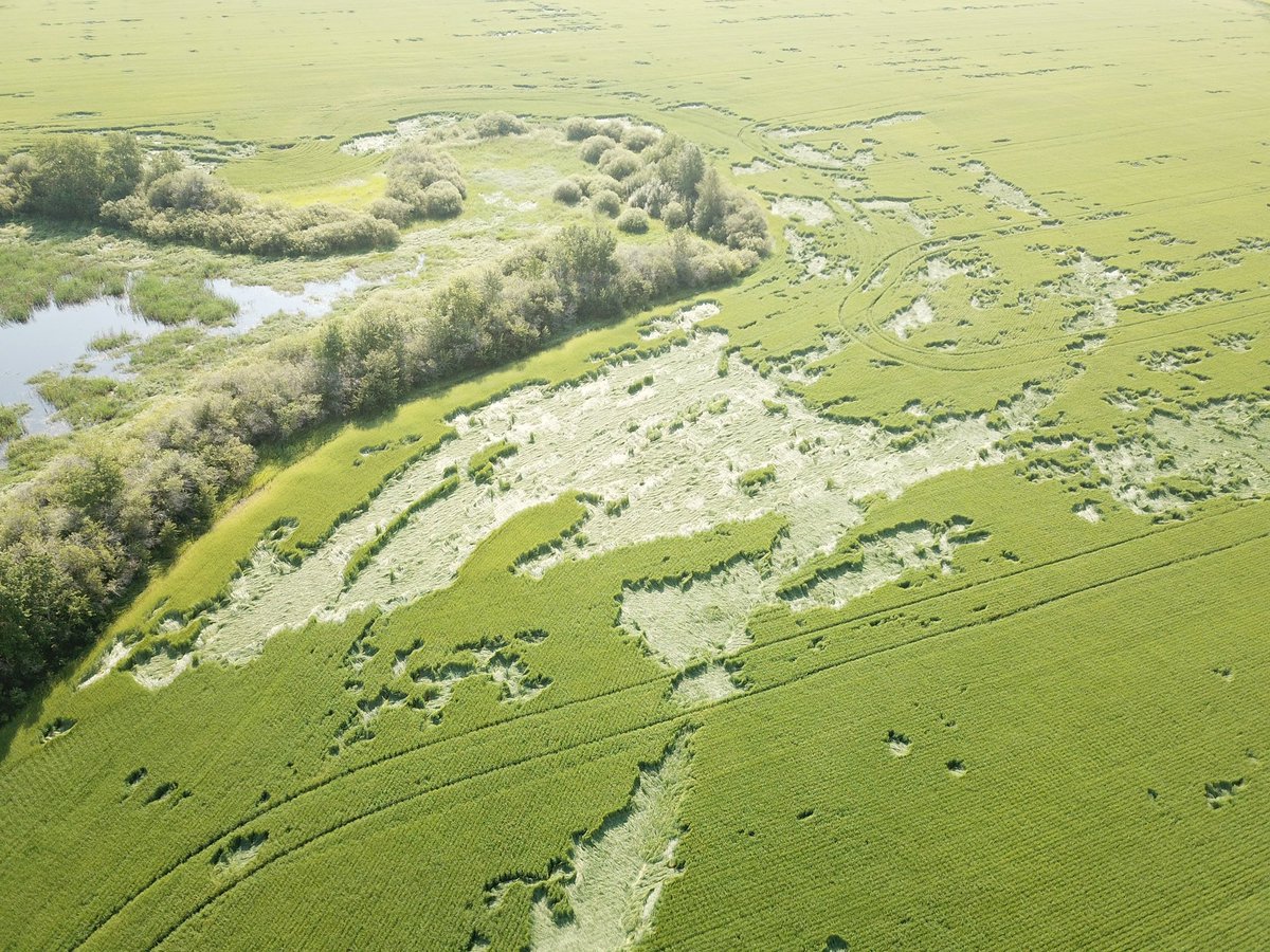Pardon my language 

But holy shit !!!

🐦📷: 😳😳😳😳😳😳😳