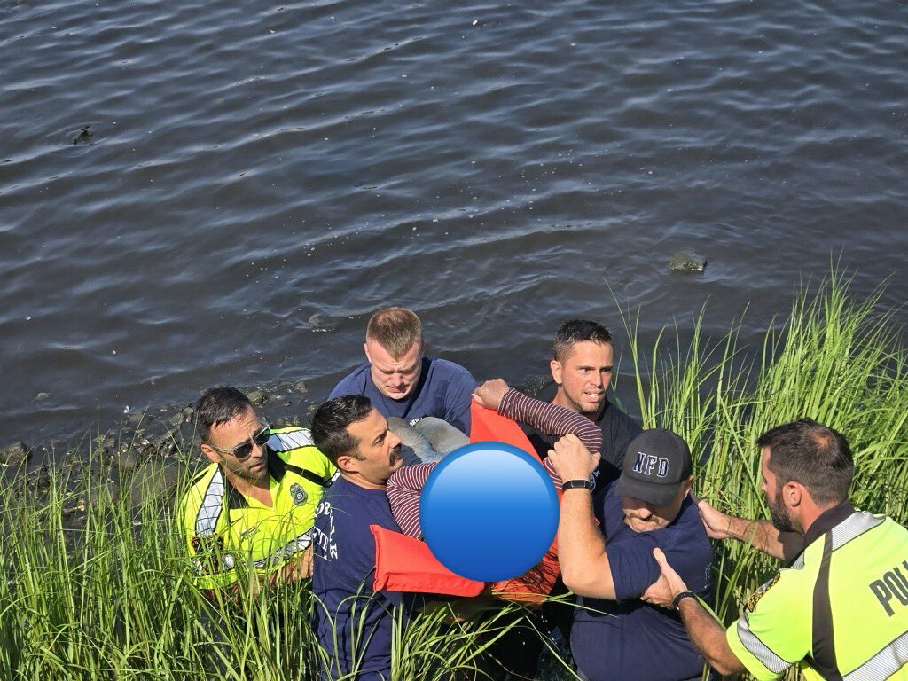 Norwalk, CT Police tweet media