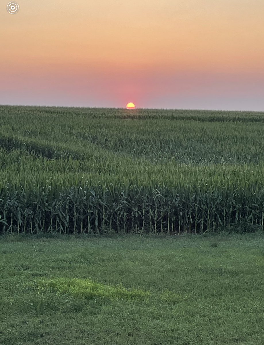 markvarner09's tweet photo. Glad to get my 5 mile run in before the scorching 114 degree heat index overtakes everything! Cool deep red/magenta sunrises this morning 😊 #ruchat #running #sunrise https://t.co/plWgG8RlrG