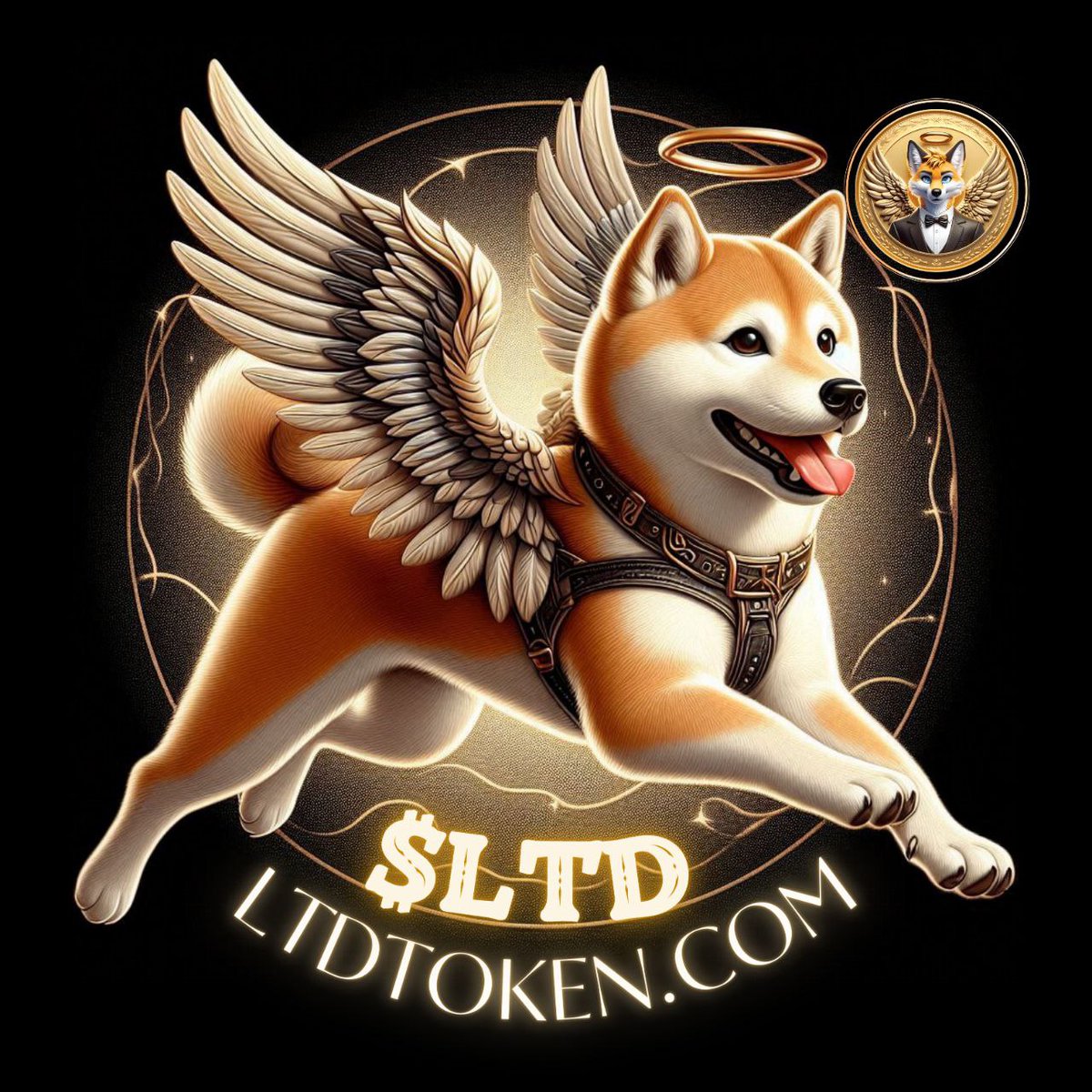 ShibaArmyReigns's tweet photo. @elonmusk 1) $LTD Title Sponsor of ETH Toronto ✅
2) Executive VIP Boat Party ✅
3) 11 Exchanges Contacted ✅
4) 3 Exchanges Secured ✅
5) Negotiate Partnership Deals ✅

#CRYPTO #ETH #ERC20 #SHIBARMY #SHIBARIUM #SHIB #BTC

🐳 https://t.co/MnKM6zGHhM
🐳 https://t.co/QiEnJI2gKV https://t.co/QTxh8d1MBL