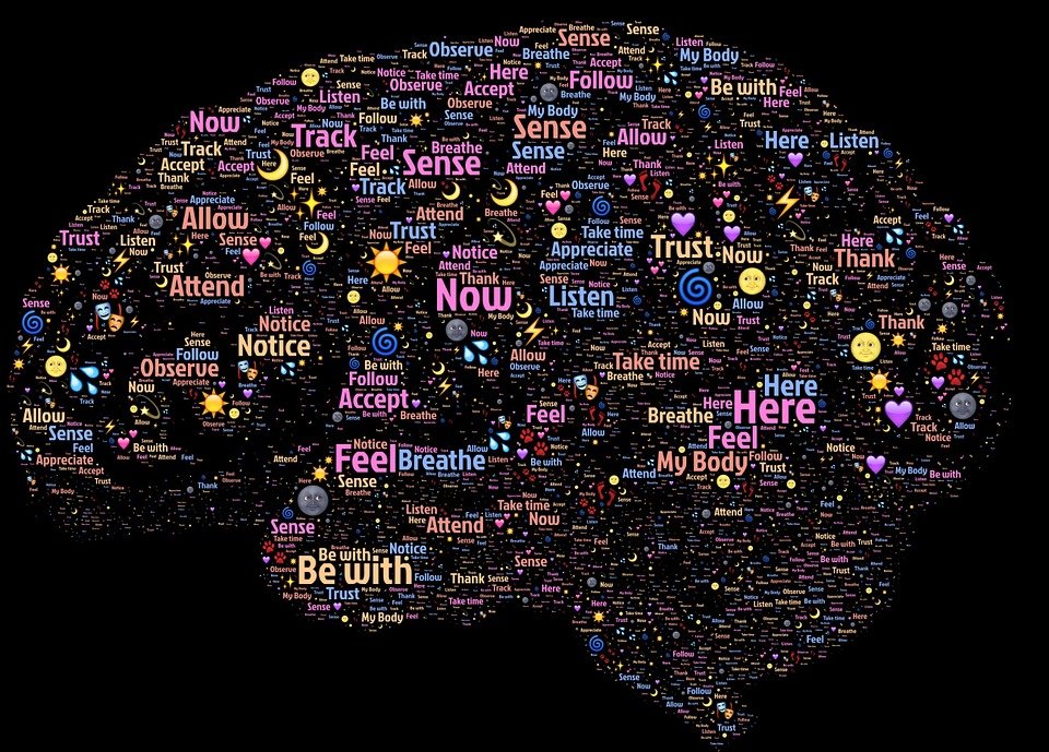 autismtalknd's tweet photo. Brain changes in autism are far more sweeping than previously known.
https://t.co/w5G2gyrF2u https://t.co/ZF51wA8KPi
