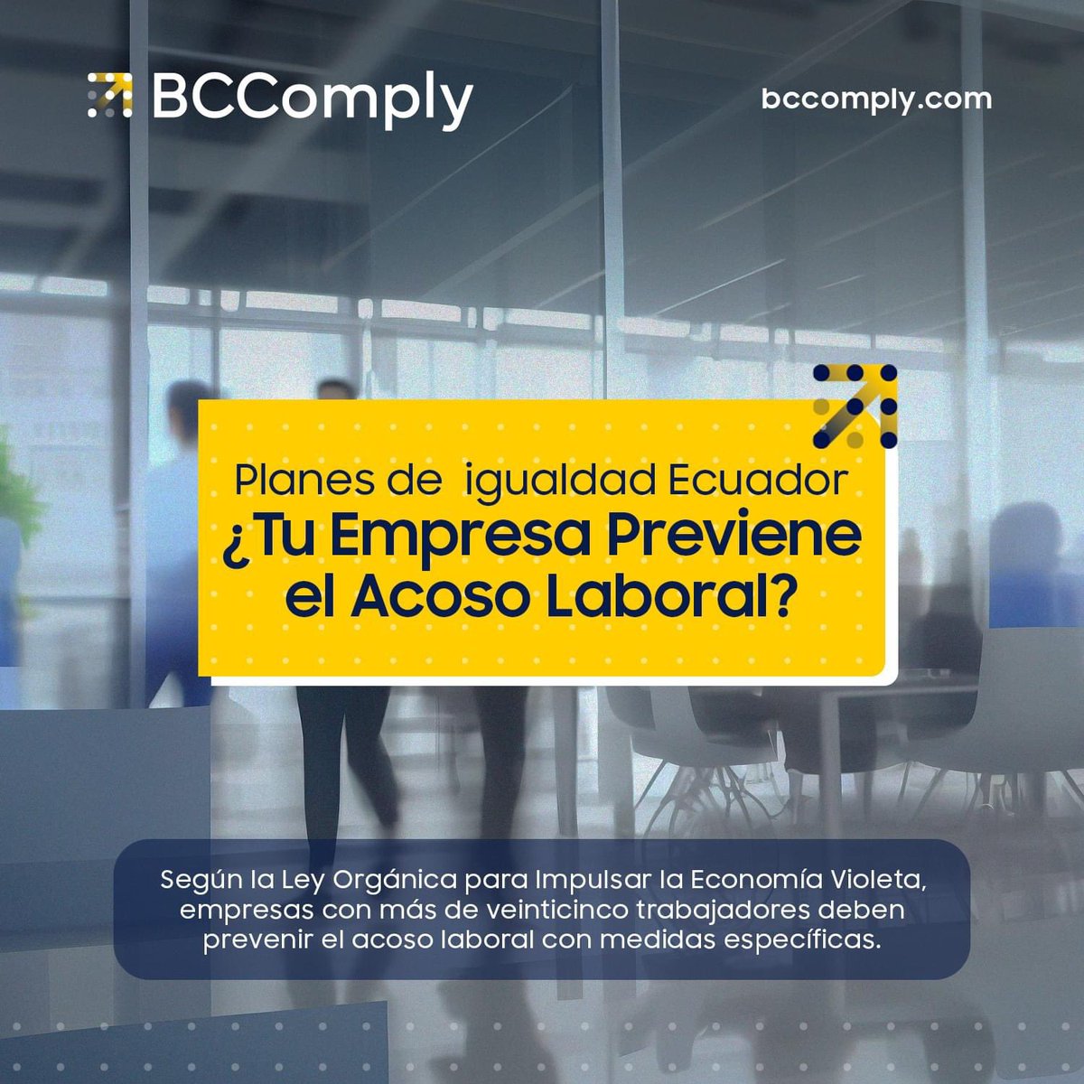 bccomply's tweet photo. ¡Prevenir el acoso laboral es crucial para un entorno laboral equitativo! 

Descubre cómo los Planes de Igualdad en Ecuador pueden ayudar a proteger a tus empleados y promover un ambiente de trabajo seguro.   🌟 

CONTÁCTANOS ⬇️ ℹ️

 info@bccomply.com https://t.co/RCRPUdTUKY