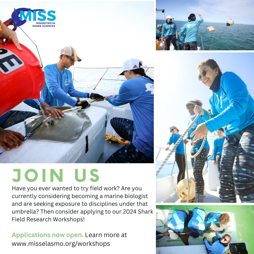 Workshop applications are OPEN! ✔️ Interested in pursuing a career in marine biology and are eager to get out and start learning the ropes of the field? We have just the thing for you! ⤵️ 

buff.ly/478uuGO 

Ready to apply? Apps. close on 8/15!

buff.ly/4cFJxu7
