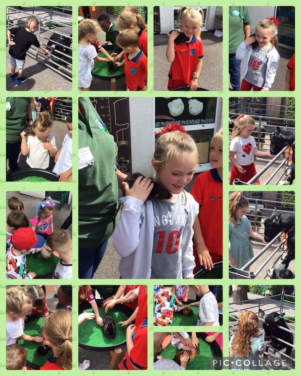 ReceptionOaky's tweet photo. Reception had some very special guests today! We had a visit from some farmers.🧑‍🌾 👩‍🌾 They even brought some animals with them! We got to stroke them and even feed some! 🐐🐑🐇🐹🐓🦆🐀 https://t.co/WkAzrItIxR
