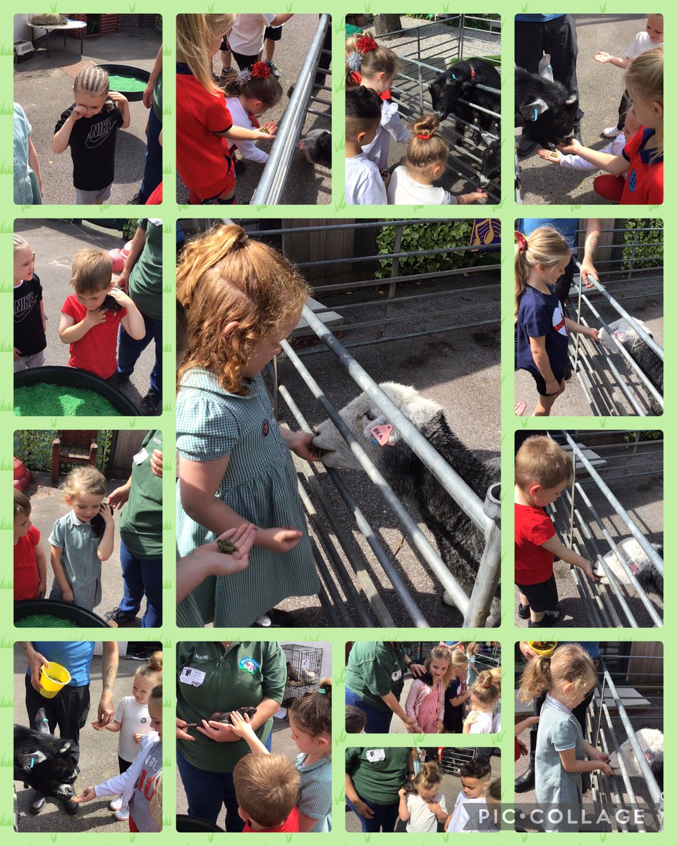 ReceptionOaky's tweet photo. Farm Visit pictures continued … https://t.co/wPsOQHakc6
