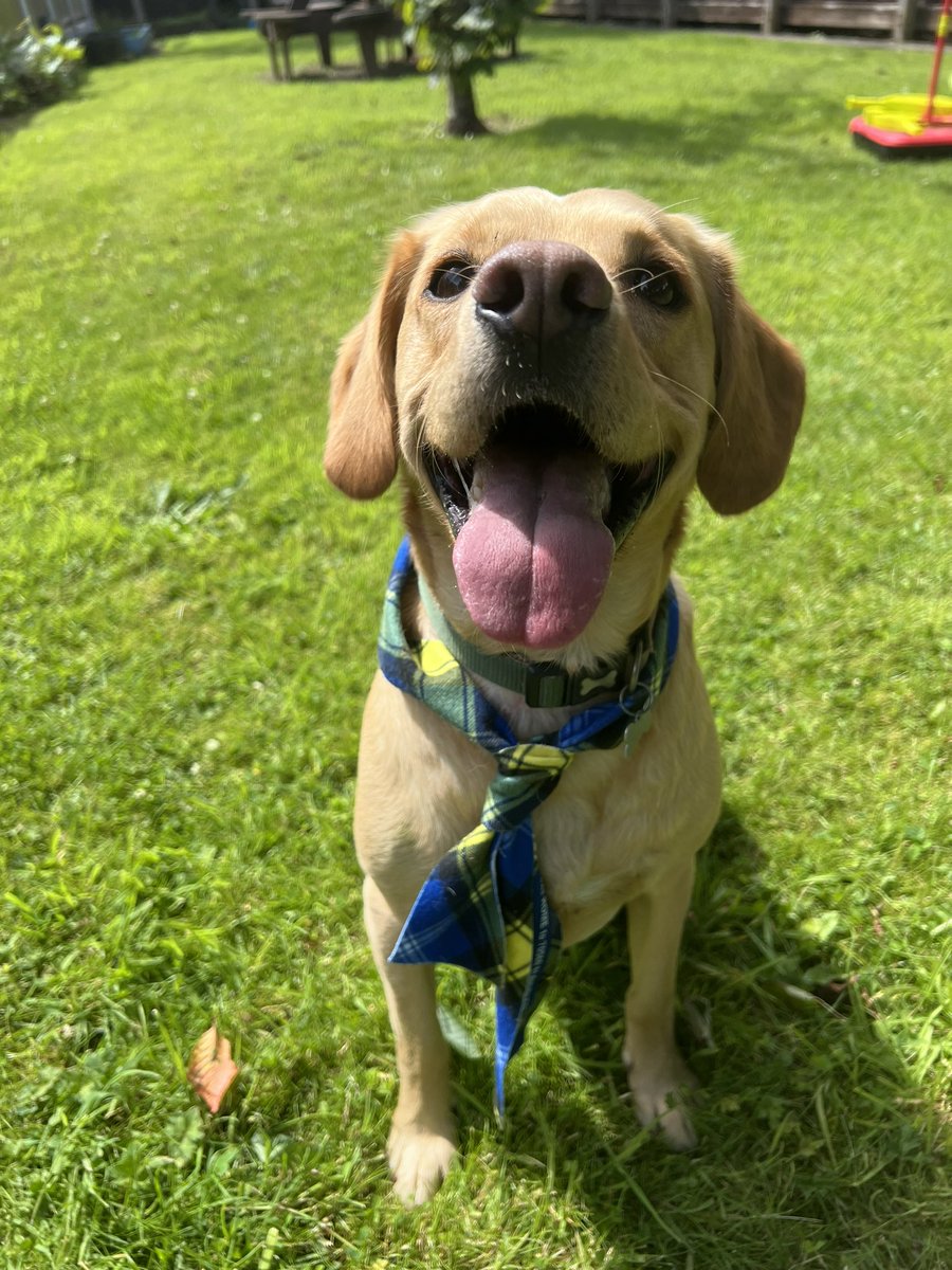 Moat House School & Nursery tweet media